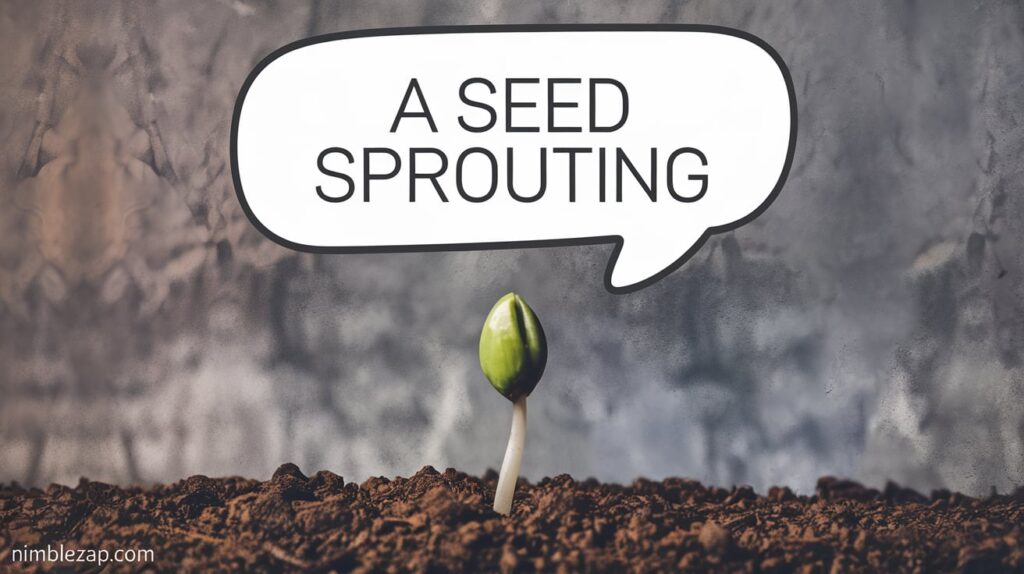  A Seed Sprouting